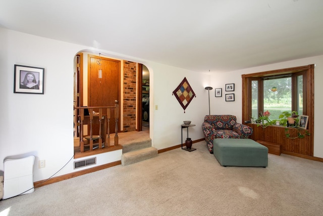 18726 Juneberry Rd, Mankato, MN 56001 - living area featuring arched walkways and carpet floors