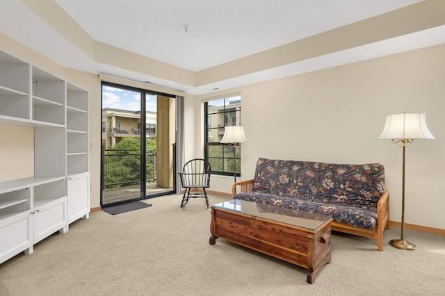 820 Emerald St SE Unit 314, Saint Paul, MN 55114 - carpeted living room with baseboards