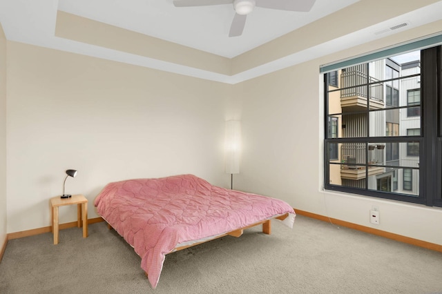 820 Emerald St SE Unit 314, Saint Paul, MN 55114 - bedroom with carpet floors, a ceiling fan, and a raised ceiling
