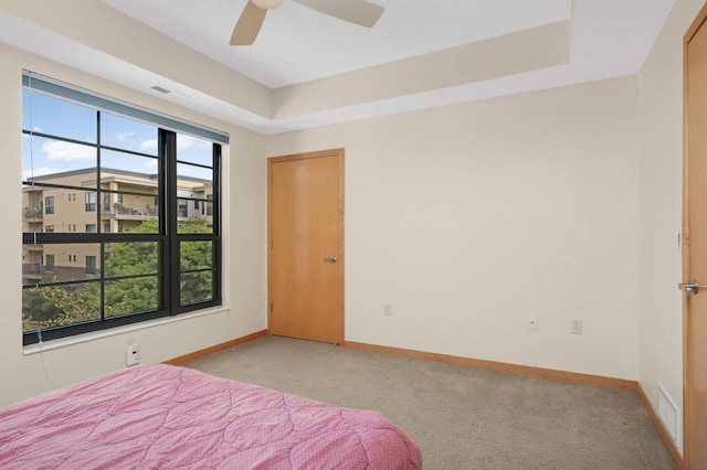 820 Emerald St SE Unit 314, Saint Paul, MN 55114 - bedroom featuring light carpet, a tray ceiling, and a ceiling fan