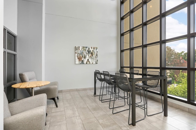 820 Emerald St SE Unit 314, Saint Paul, MN 55114 - dining space featuring a high ceiling and baseboards