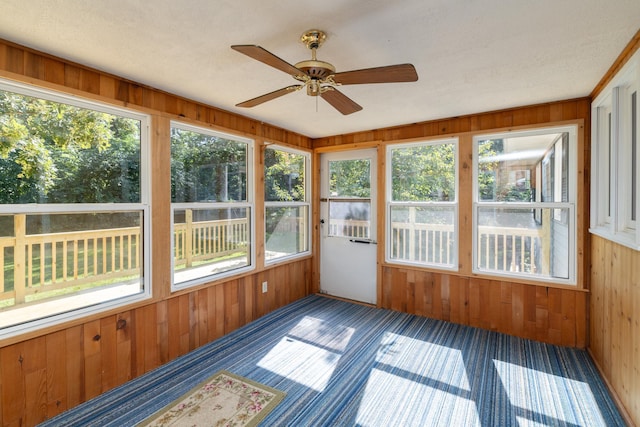 110 Hamilton Dr, River Falls, WI 54022 - unfurnished sunroom featuring wooden walls, carpet flooring, and plenty of natural light