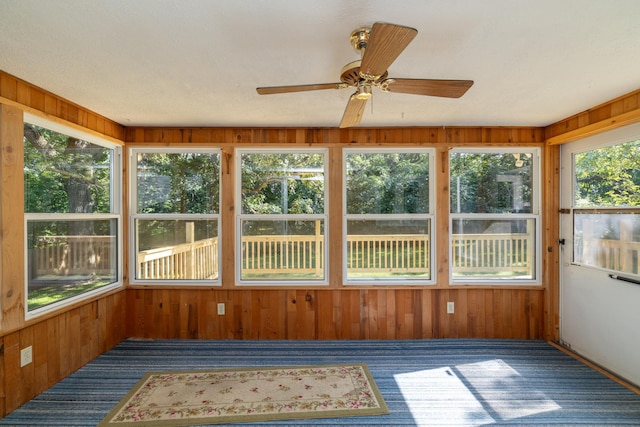 110 Hamilton Dr, River Falls, WI 54022 - unfurnished sunroom featuring wood walls and carpet