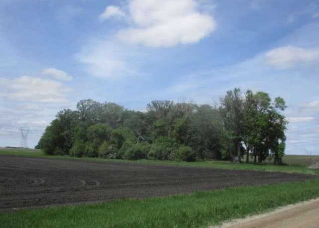 19020 110th St, Norwood Young America, MN 55368 - photo 2