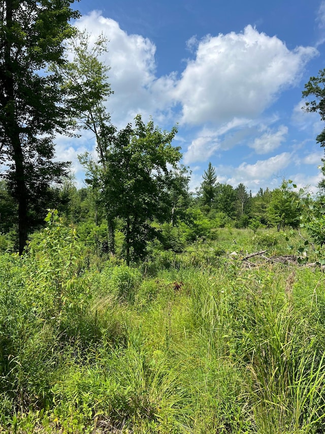 E19425 County Road Nl, Augusta, WI 54722 - photo 27