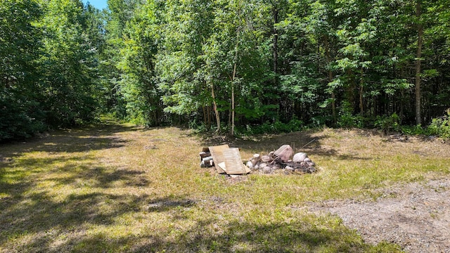 TBD Sago 5, Sago Twp, MN 55784 - photo 6