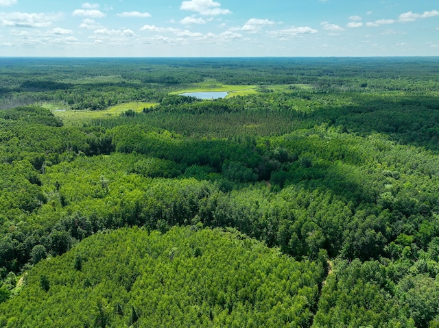 TBD Sago 5, Sago Twp, MN 55784 - photo 17