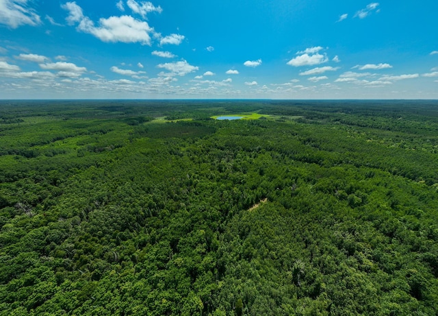 TBD Sago 5, Sago Twp, MN 55784 - photo 19