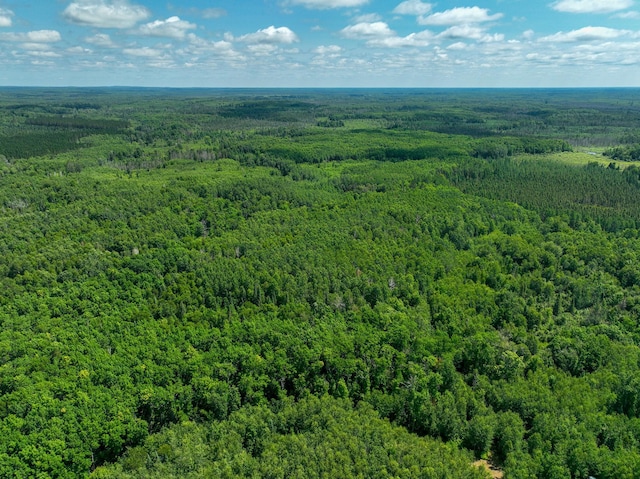 TBD Sago 5, Sago Twp, MN 55784 - photo 20