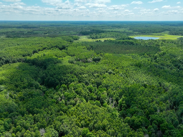 TBD Sago 5, Sago Twp, MN 55784 - photo 1