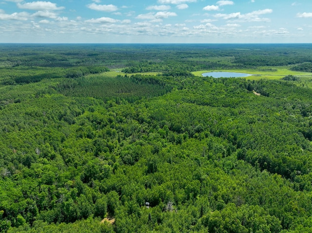 TBD Sago 5, Sago Twp, MN 55784 - photo 9
