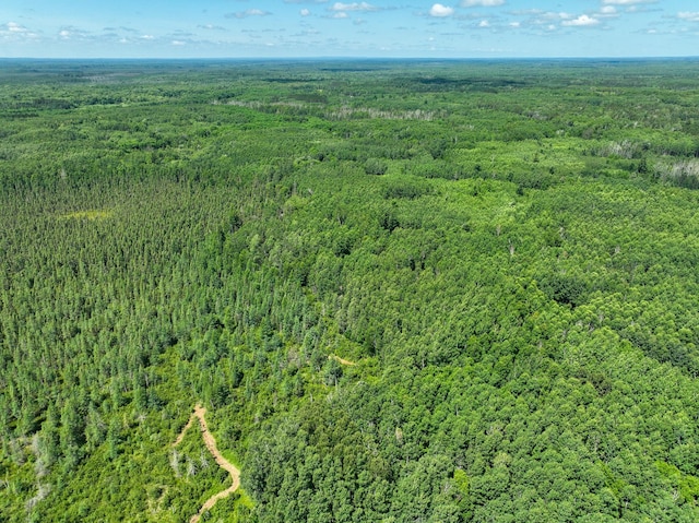 TBD Sago 5, Sago Twp, MN 55784 - photo 10