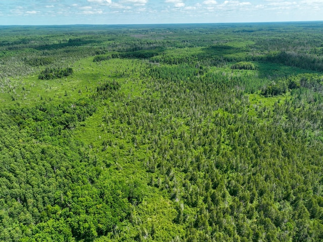 TBD Sago 5, Sago Twp, MN 55784 - photo 11