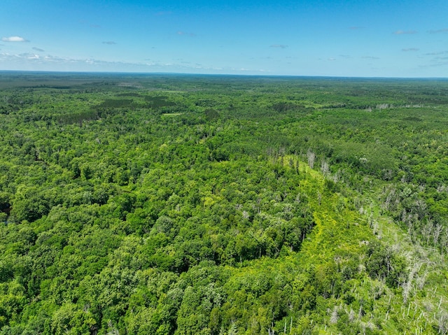 TBD Sago 5, Sago Twp, MN 55784 - photo 12