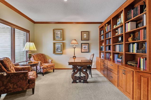 11444 Clarion Way, Minnetonka, MN 55343 - office space with carpet flooring, crown molding, and a textured ceiling