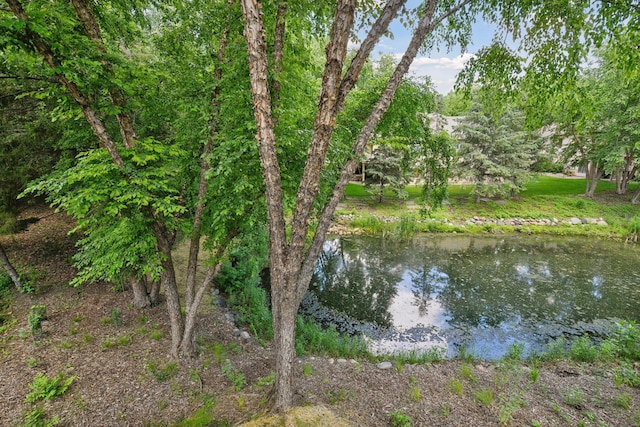 11444 Clarion Way, Minnetonka, MN 55343 - water view
