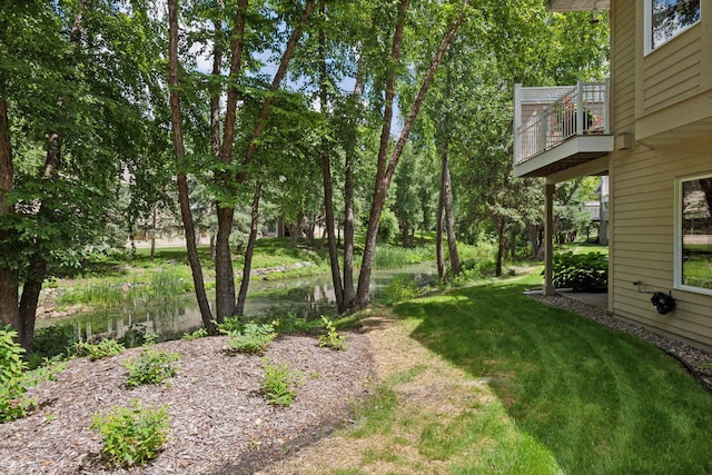 11444 Clarion Way, Minnetonka, MN 55343 - view of grassy yard