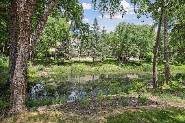 11444 Clarion Way, Minnetonka, MN 55343 - water view