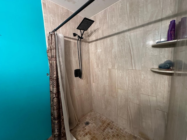 2728 111th Ave NW, Coon Rapids, MN 55433 - bathroom featuring a stall shower