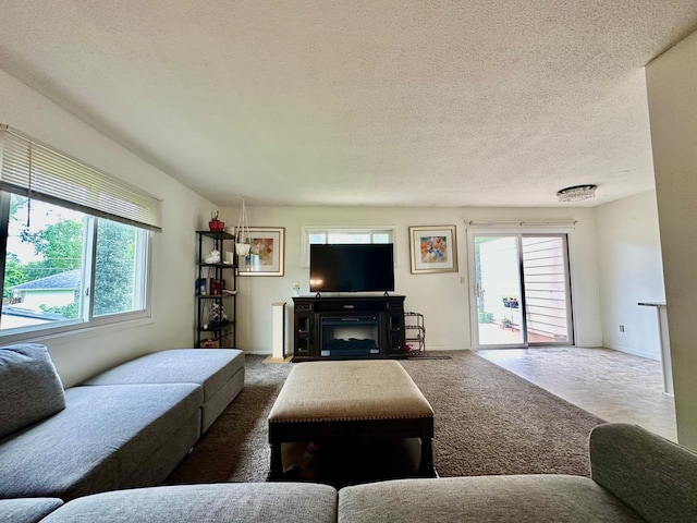 2728 111th Ave NW, Coon Rapids, MN 55433 - living area featuring carpet flooring and a textured ceiling