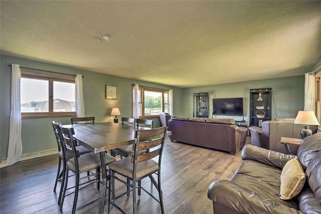 520 Park Island Rd Unit 2, Center City, MN 55012 - dining space with a textured ceiling and dark wood-style flooring