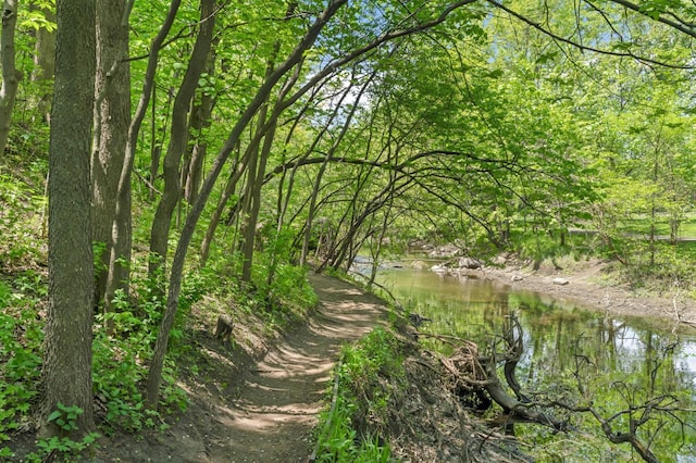 4640 Portland Ave, Minneapolis, MN 55407 - view of tree filled area