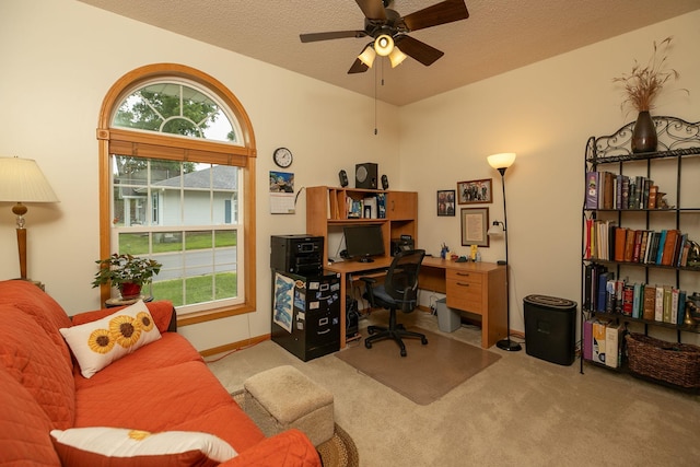 1925 Cabernet Ln NW, Rochester, MN 55901 - office with carpet, healthy amount of natural light, ceiling fan, and a textured ceiling
