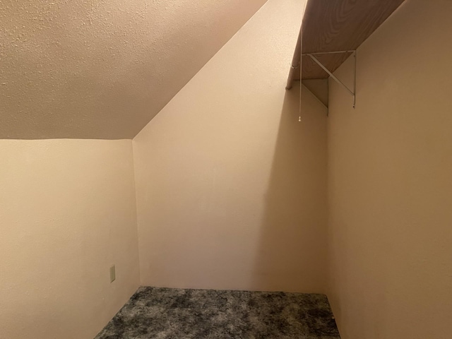 77 Morgan St, Tracy, MN 56175 - spacious closet with carpet flooring and lofted ceiling
