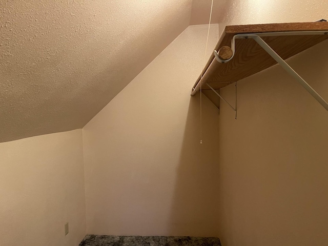77 Morgan St, Tracy, MN 56175 - spacious closet featuring vaulted ceiling
