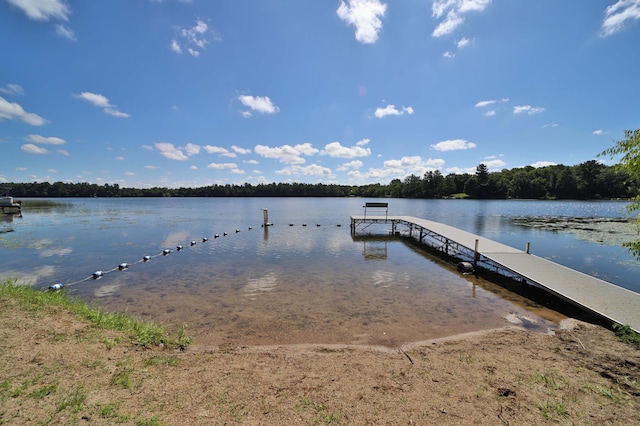 29766 Portage Loop, Fawn Lake Twp, MN 56438 - photo 2