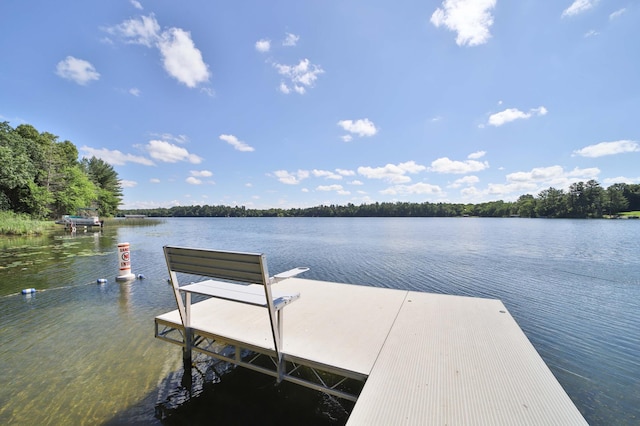 29766 Portage Loop, Fawn Lake Twp, MN 56438 - photo 50