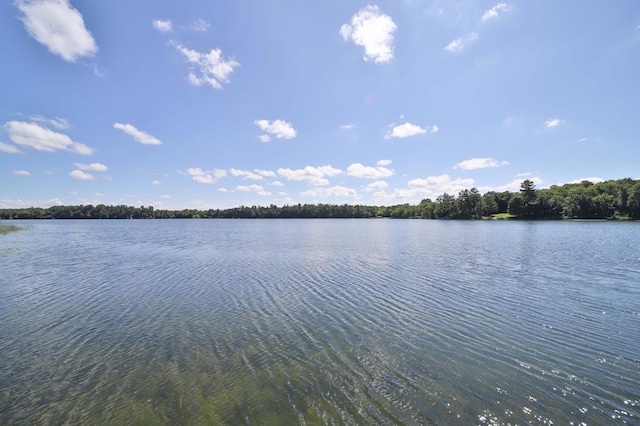 29766 Portage Loop, Fawn Lake Twp, MN 56438 - photo 51