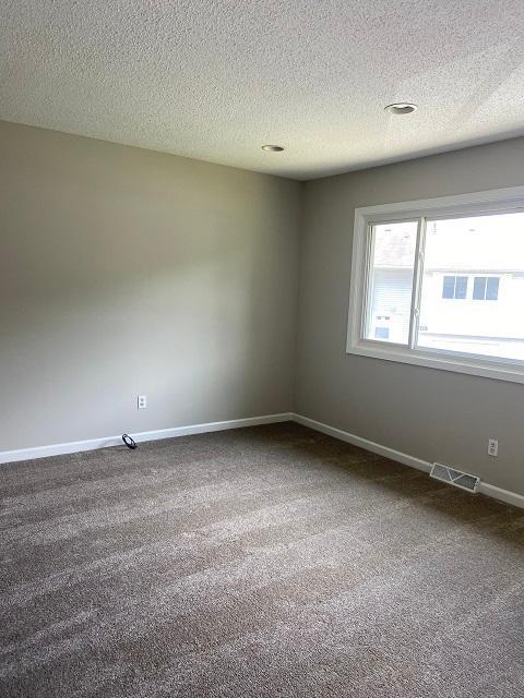 1340 119th Ln NW, Coon Rapids, MN 55448 - spare room with dark carpet and a textured ceiling