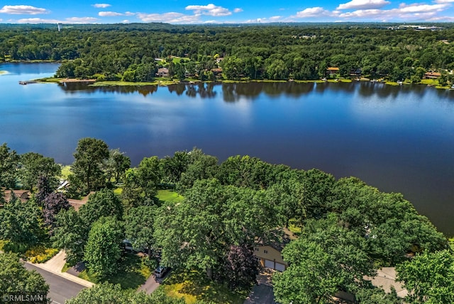 26 Golden Lake Rd, Circle Pines, MN 55014 - drone / aerial view of a heavily wooded area and a large body of water