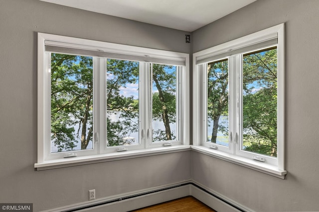 26 Golden Lake Rd, Circle Pines, MN 55014 - unfurnished sunroom with a baseboard heating unit