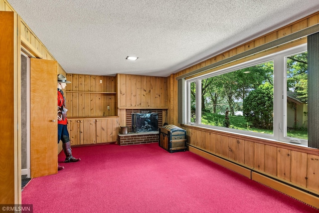 26 Golden Lake Rd, Circle Pines, MN 55014 - sunroom featuring baseboard heating