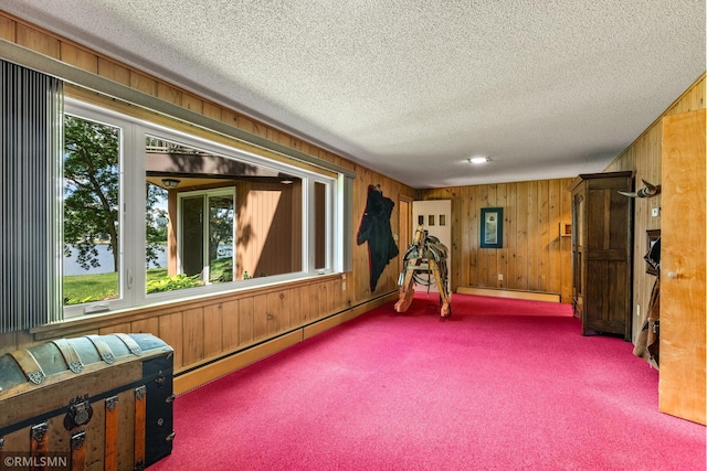 26 Golden Lake Rd, Circle Pines, MN 55014 - sitting room with carpet flooring, wooden walls, a textured ceiling, and a baseboard radiator