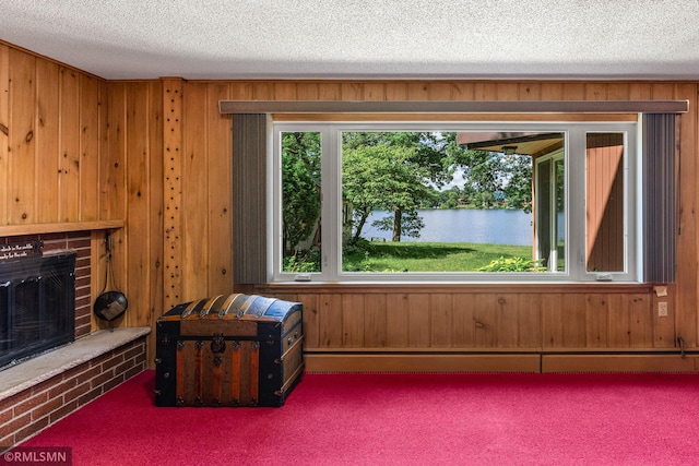 26 Golden Lake Rd, Circle Pines, MN 55014 - living area featuring a textured ceiling, wooden walls, a water view, carpet, and a brick fireplace