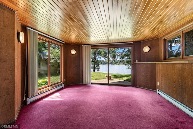 26 Golden Lake Rd, Circle Pines, MN 55014 - unfurnished sunroom with a water view, a baseboard radiator, a baseboard heating unit, and plenty of natural light
