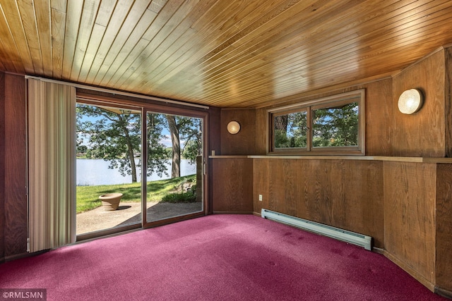 26 Golden Lake Rd, Circle Pines, MN 55014 - unfurnished sunroom featuring baseboard heating and a water view