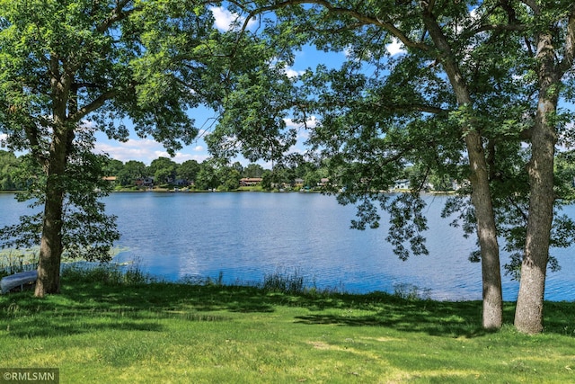 26 Golden Lake Rd, Circle Pines, MN 55014 - water view
