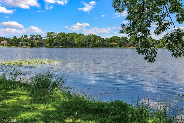 26 Golden Lake Rd, Circle Pines, MN 55014 - water view