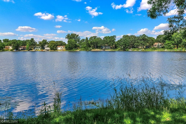 26 Golden Lake Rd, Circle Pines, MN 55014 - water view