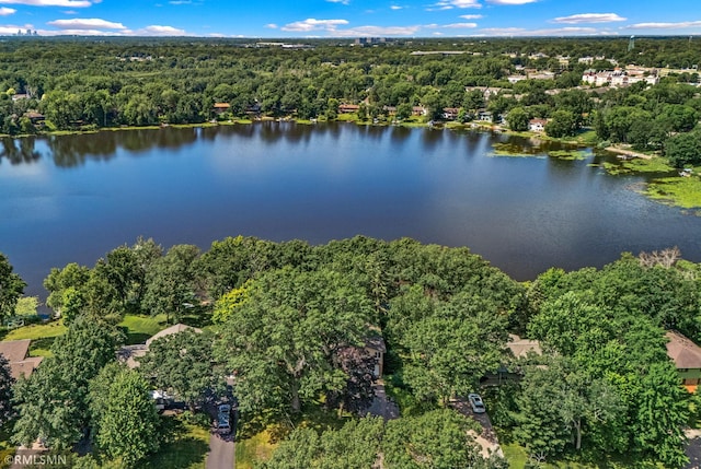26 Golden Lake Rd, Circle Pines, MN 55014 - aerial view of property's location featuring a large body of water