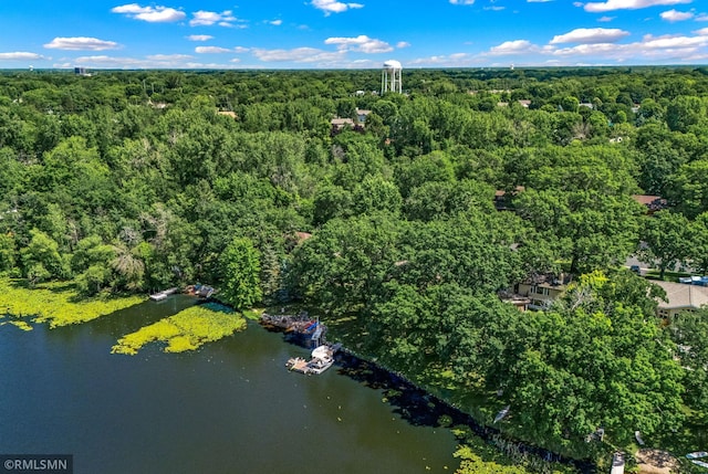26 Golden Lake Rd, Circle Pines, MN 55014 - aerial view of property and surrounding area featuring a forest and a nearby body of water