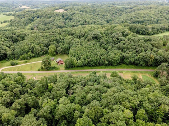 N12943 600th St, Wilson, WI 54772 - aerial view of property's location featuring property boundaries highlighted