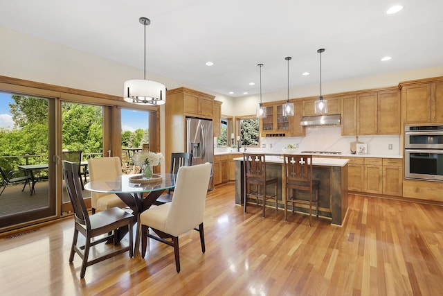 21096 France Blvd, Lakeville, MN 55044 - photo 7