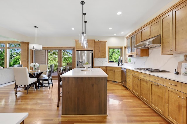 21096 France Blvd, Lakeville, MN 55044 - photo 22