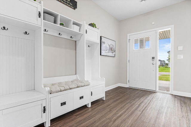 11374 81st St NE, Otsego, MN 55330 - mudroom featuring healthy amount of natural light and dark wood-style flooring