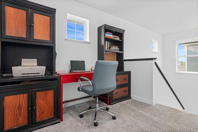 11374 81st St NE, Otsego, MN 55330 - office area featuring healthy amount of natural light and carpet flooring